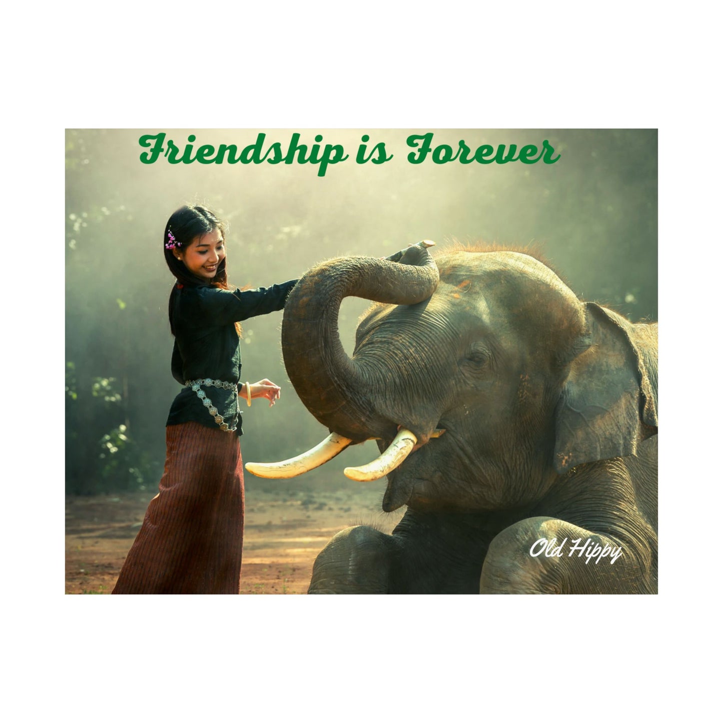 Friendship is Forever Premium Matte posters