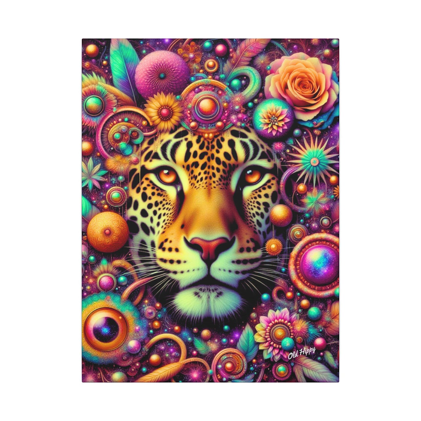 Cosmic Guardian Canvas Wrap by Old Hippy