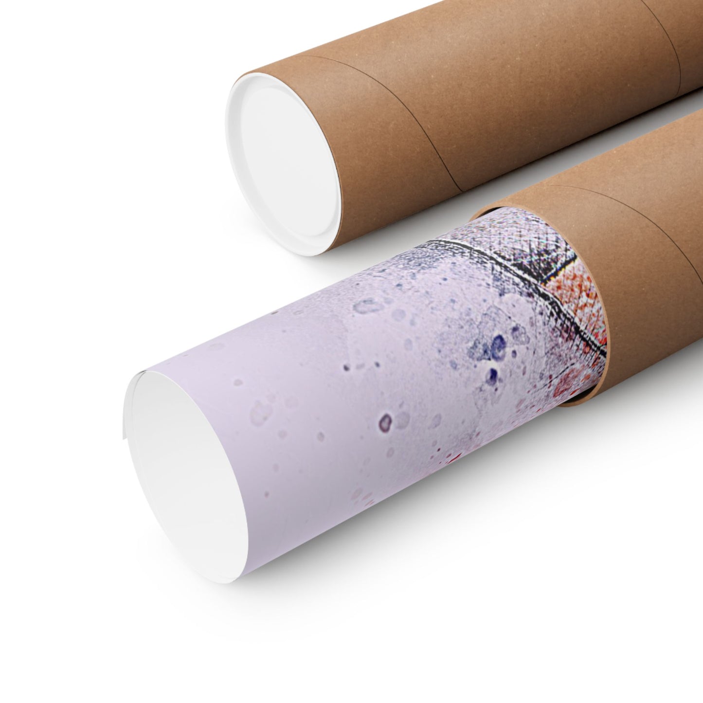 Watercolor Bicycle  Premium Print Poster