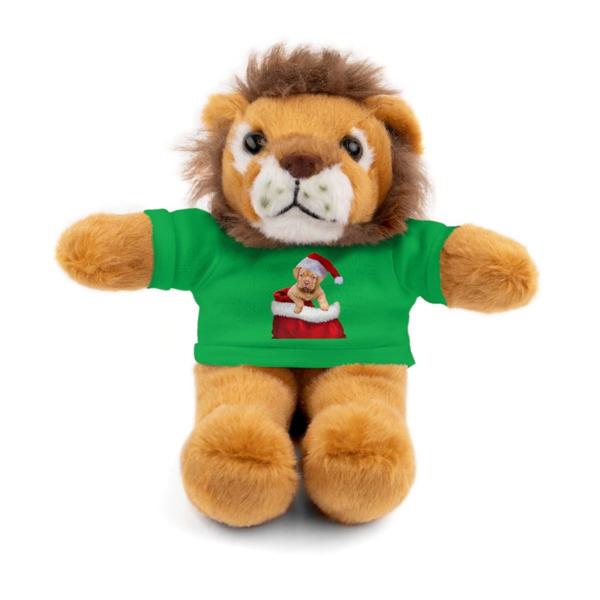 Stuffed Bear with Christmas Puppy