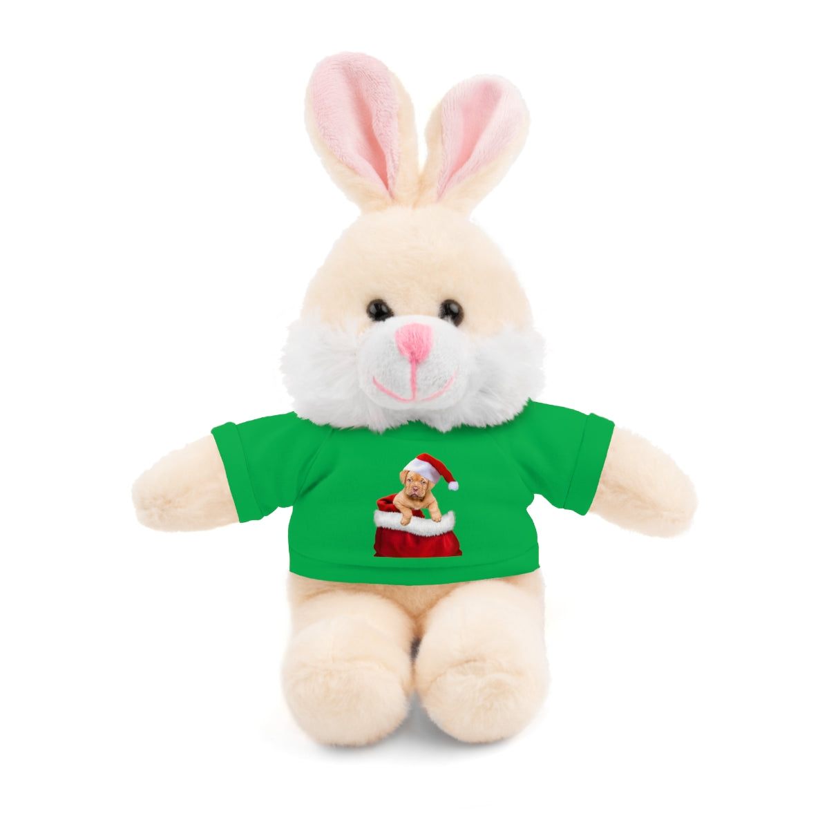 Stuffed Bear with Christmas Puppy