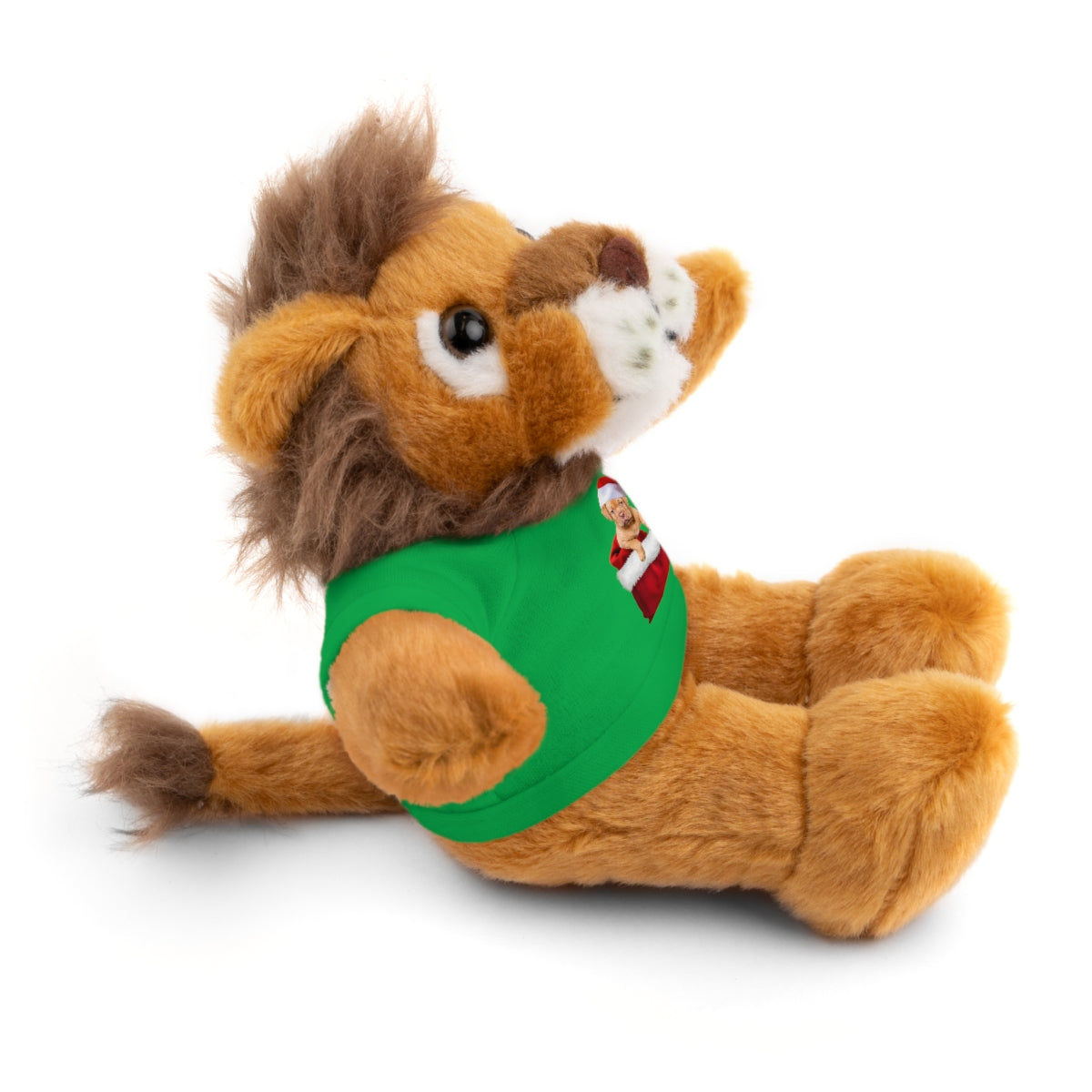 Stuffed Bear with Christmas Puppy