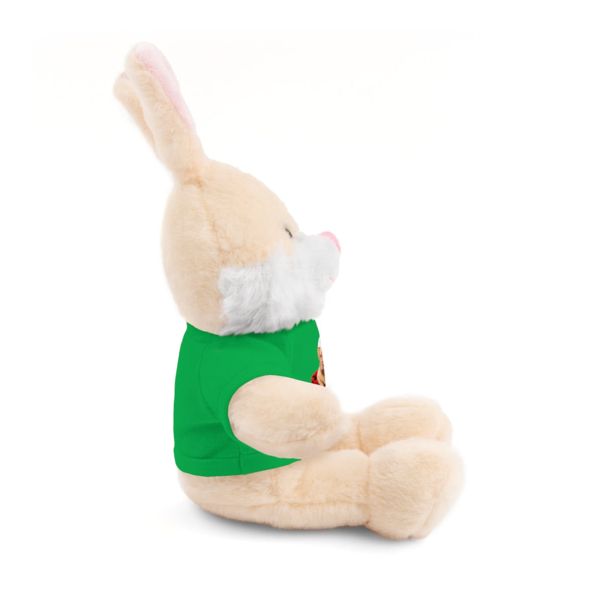 Stuffed Bear with Christmas Puppy
