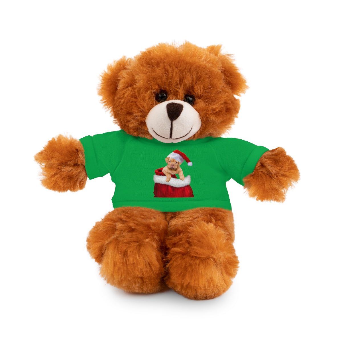 Stuffed Bear with Christmas Puppy