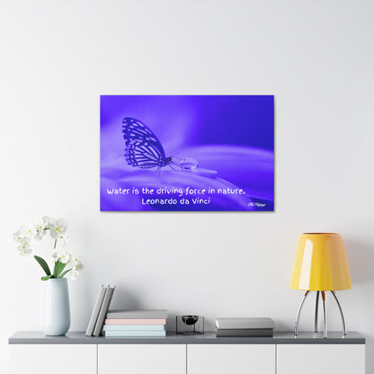 Butterfly Water life Source Canvas Wrap
