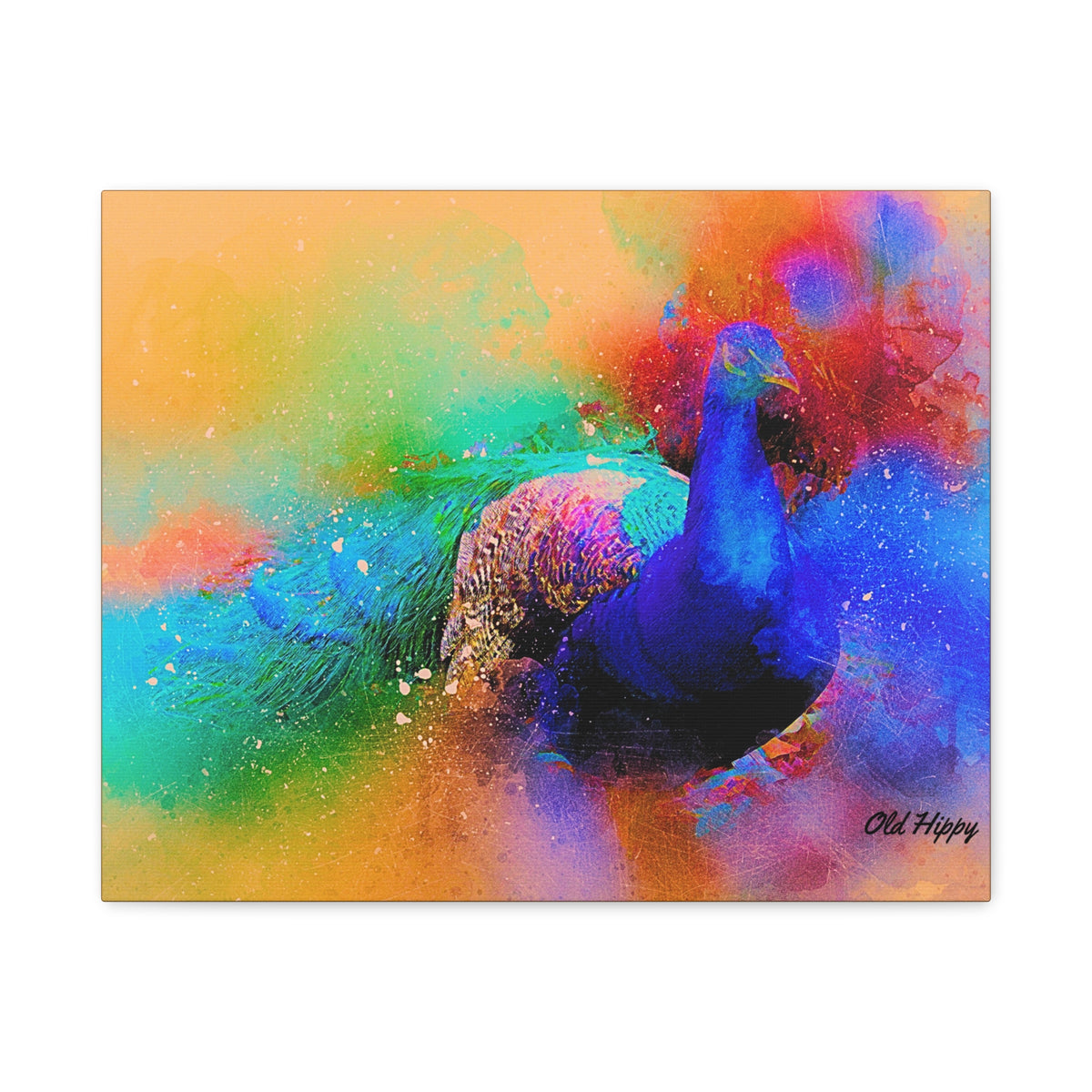 Radiant Plummage  Peacock Canvas Print