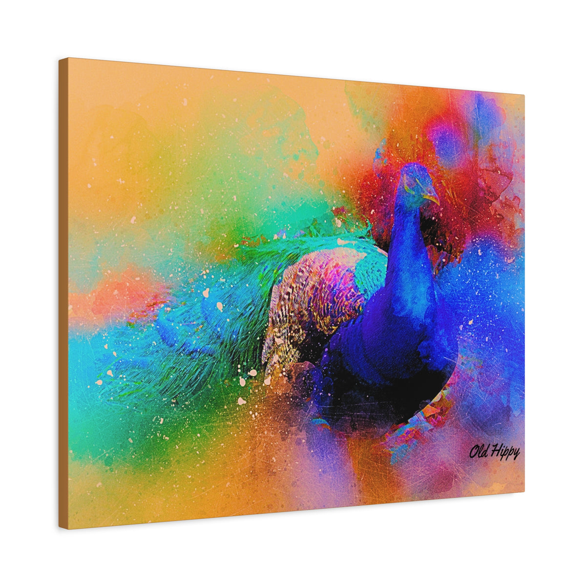 Radiant Plummage  Peacock Canvas Print