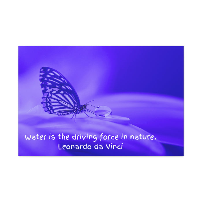 Butterfly Water life Source Canvas Wrap