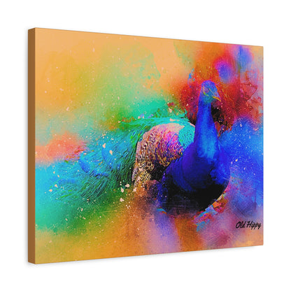 Radiant Plummage  Peacock Canvas Print