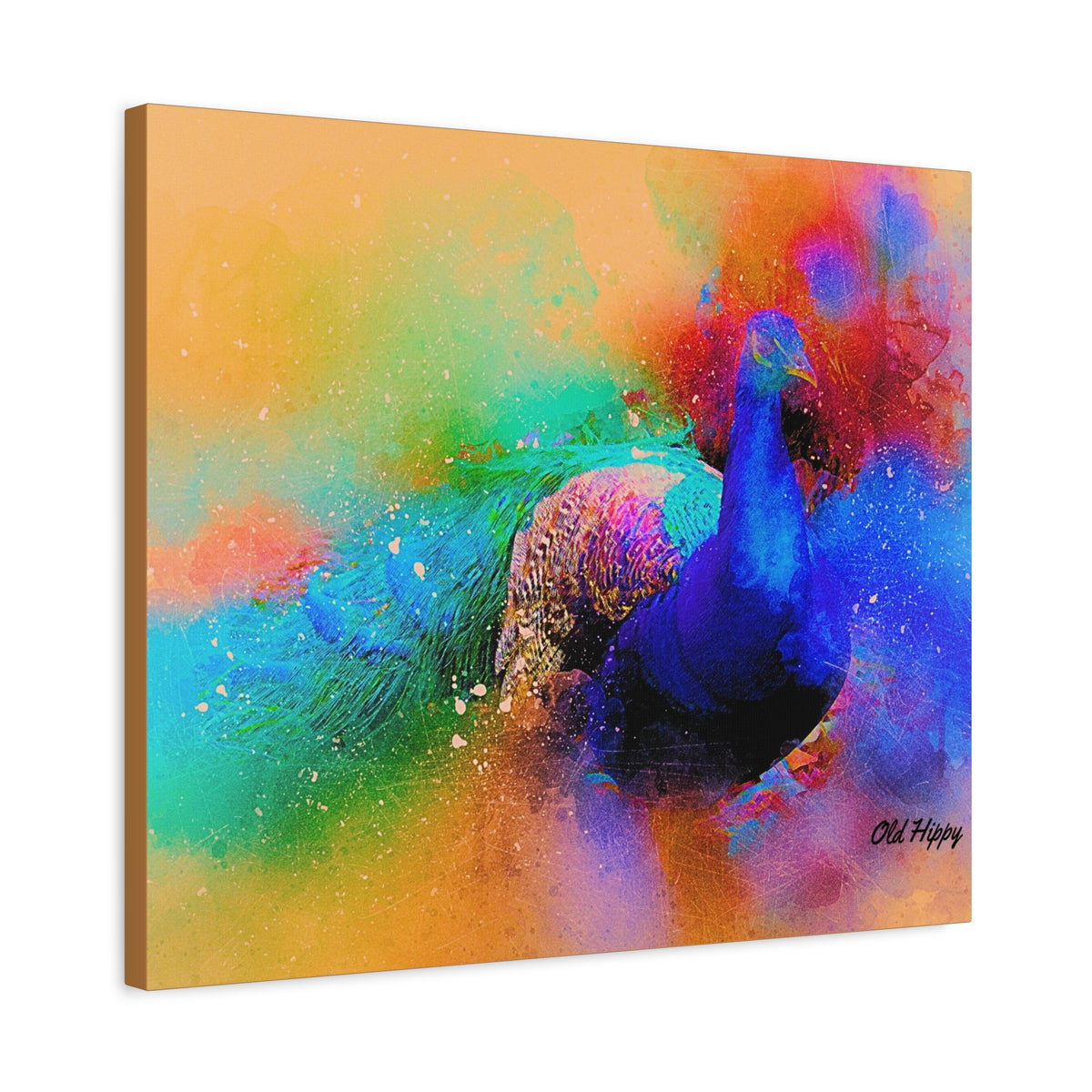 Radiant Plummage  Peacock Canvas Print