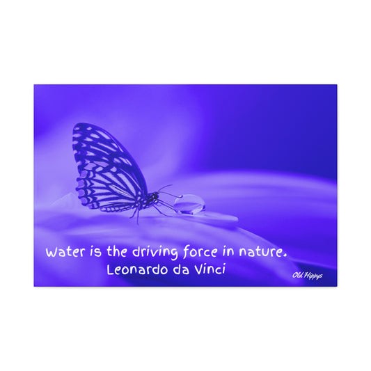 Butterfly Water life Source Canvas Wrap