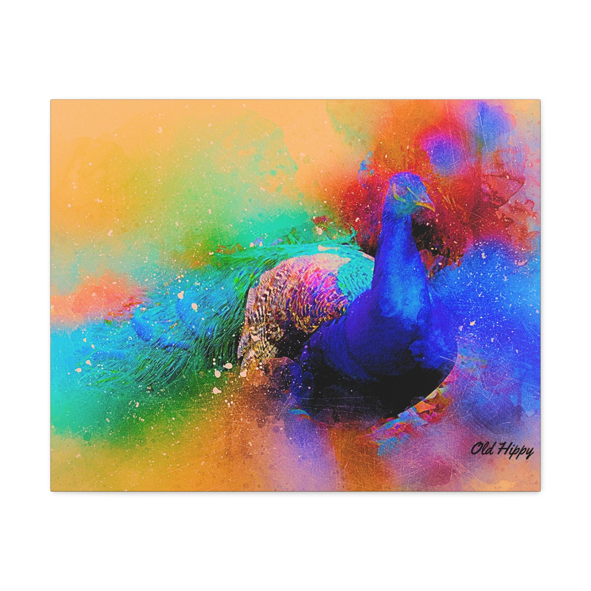Radiant Plummage  Peacock Canvas Print