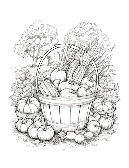Autumn Harvest Baskets Coloring Pages – 111-Page Digital Download