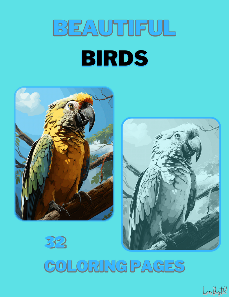 Beautiful Birds Coloring Pages - Oldhippys