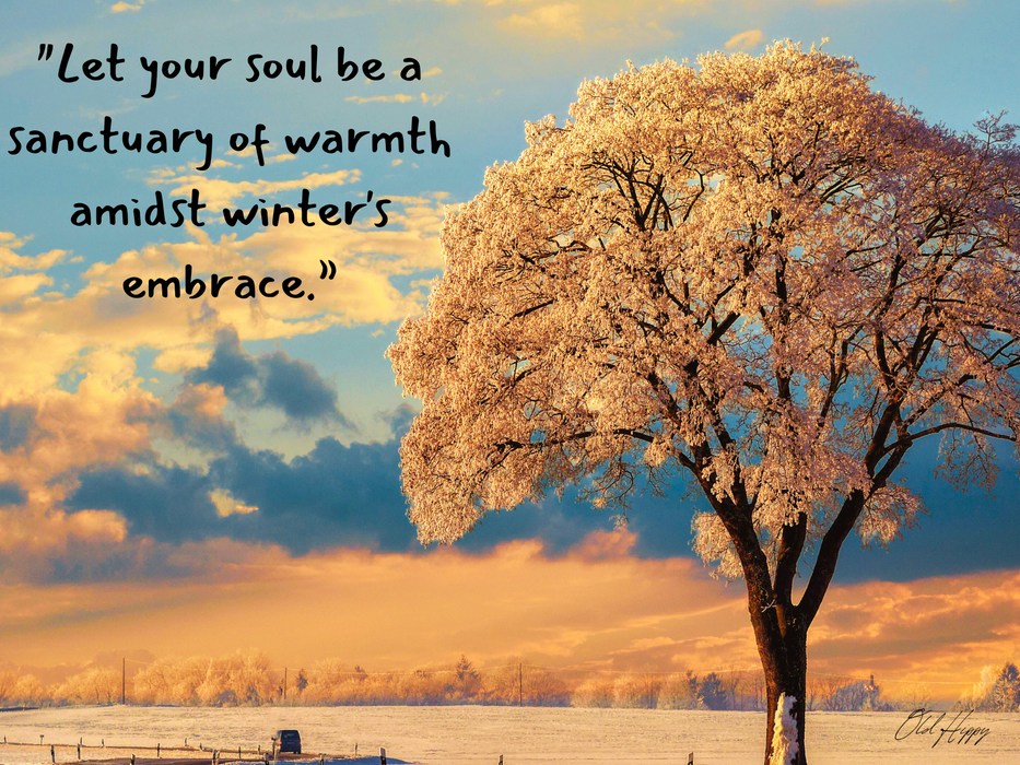 Let Your Soul be a Sanctuary of Warmth in Winter
