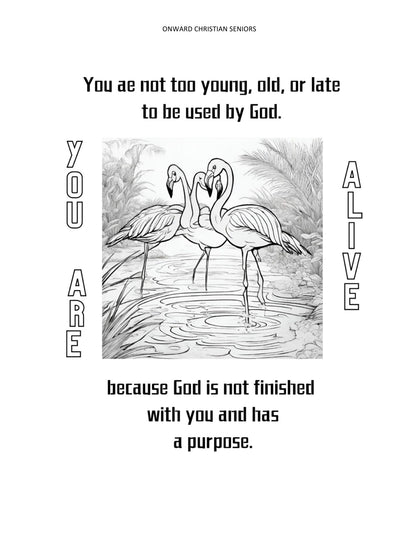 Onward Christian Seniors