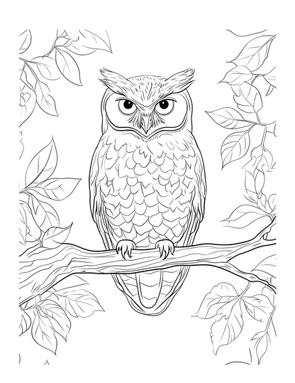 Whimsical Owl Coloring Pages