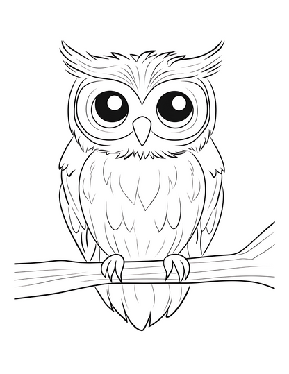 Whimsical Owl Coloring Pages