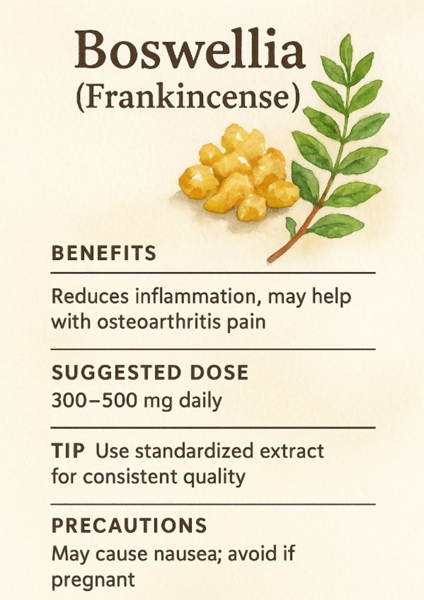 🌿 Natural Pain Remedies + Tracker | 27-Page Watercolor Wellness eBook 🌙💧