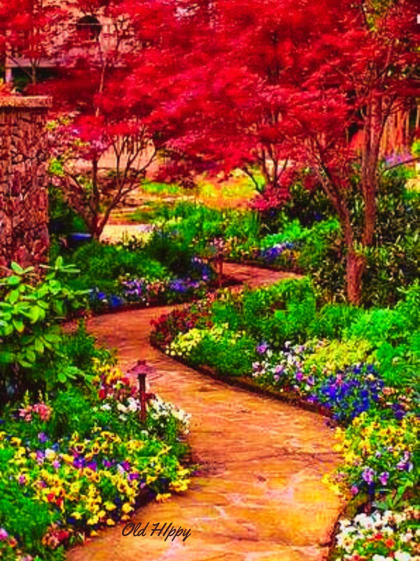 Garden Path of Color