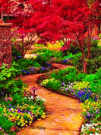 Garden Path of Color