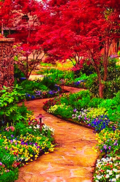 Garden Path of Color