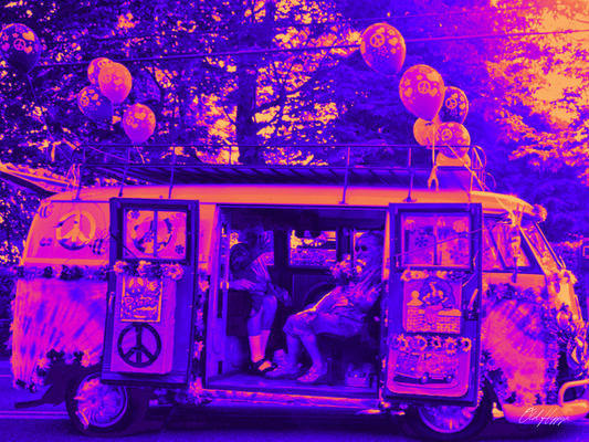 Magic Bus in Purple