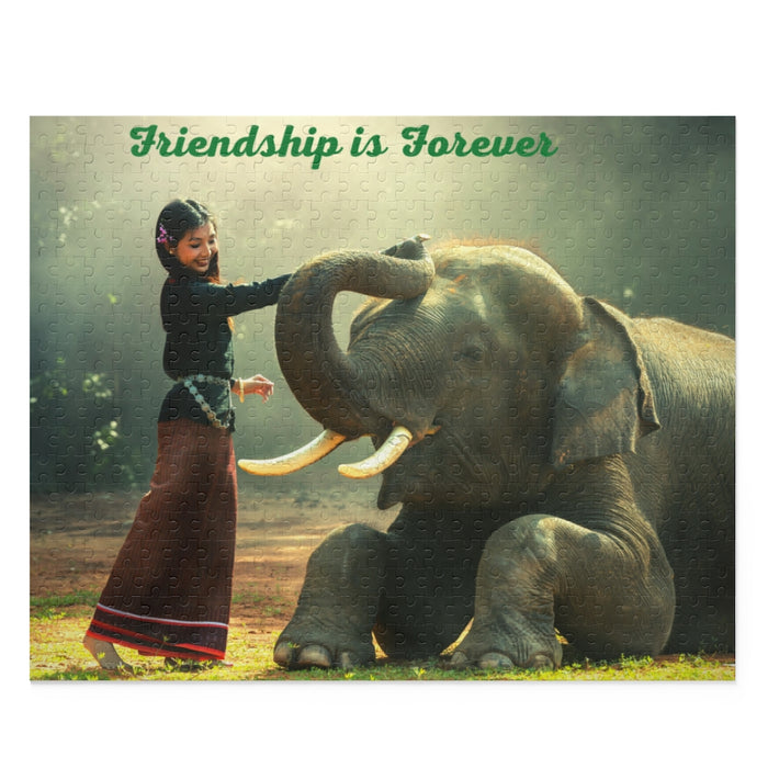 Friendship Is Forever Puzzle